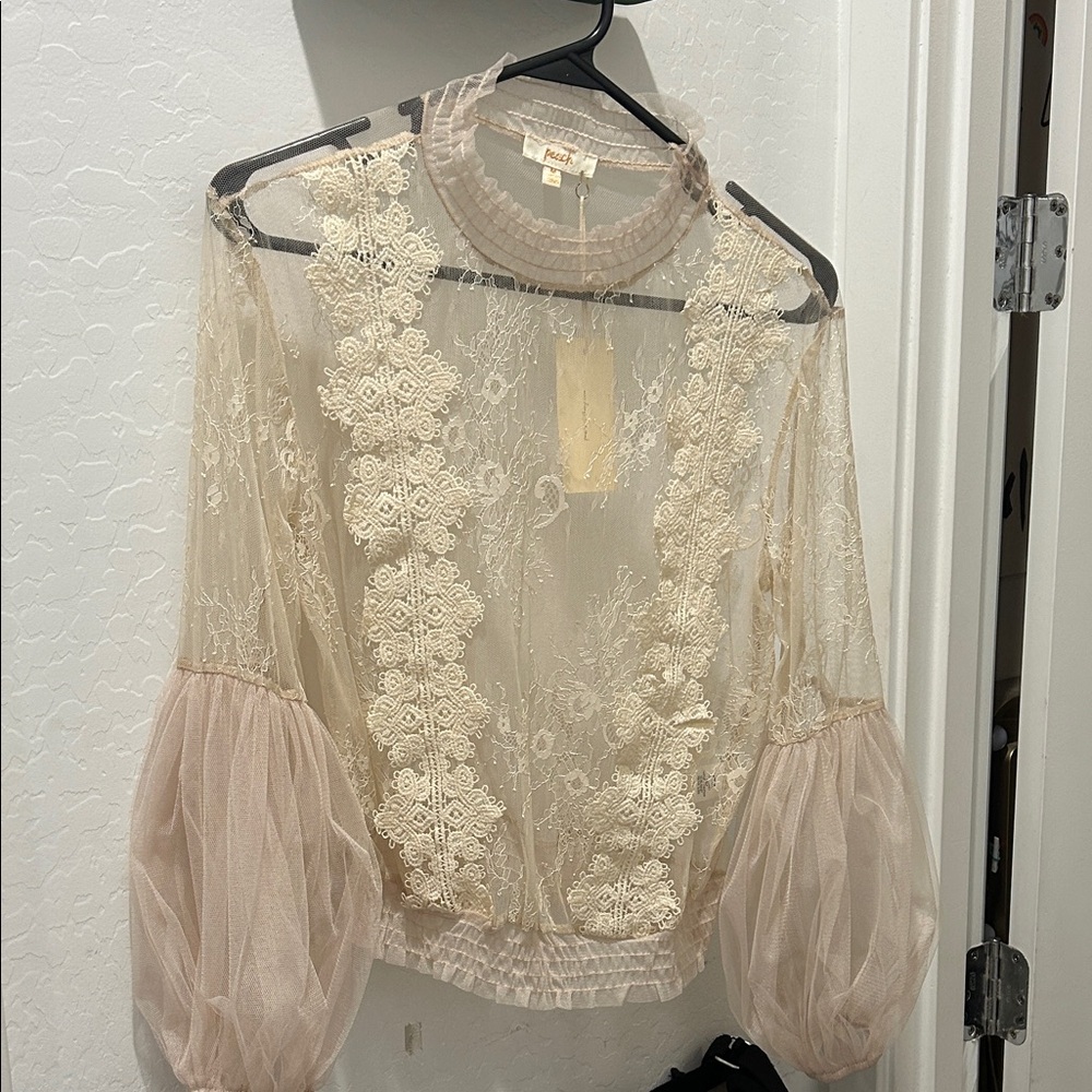 Elegant Sheer Lace Blouse